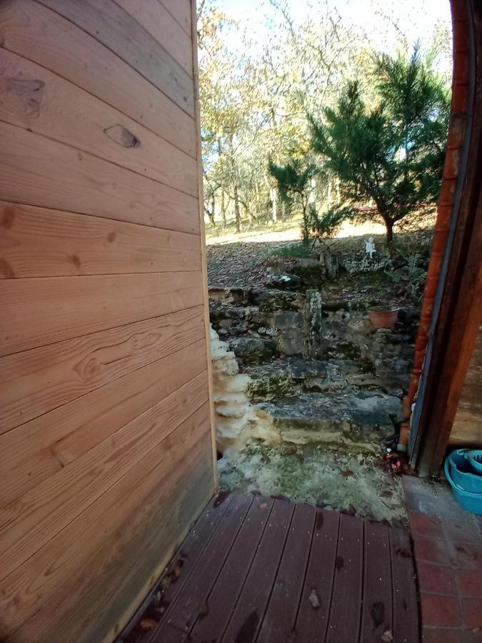 Maison Dans Un Ecrin De Verdure Saint-Leon-sur-Vezere Zewnętrze zdjęcie